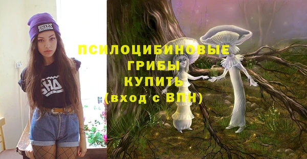 PSILOCYBIN Верхний Тагил